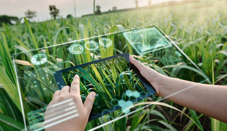 IoT trong nông nghiệp là gì