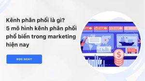 Kênh Phân Phối Là Gì? 5 Mô Hình Phổ Biến Nhất Hiện Nay